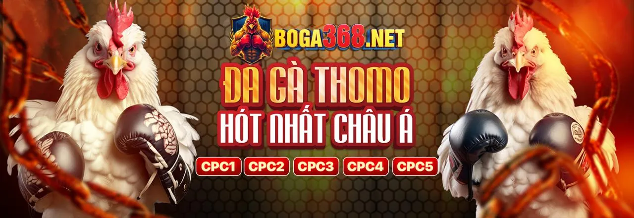 Đá Gà Trực Tuyến Sôi Động tại vvvvwin